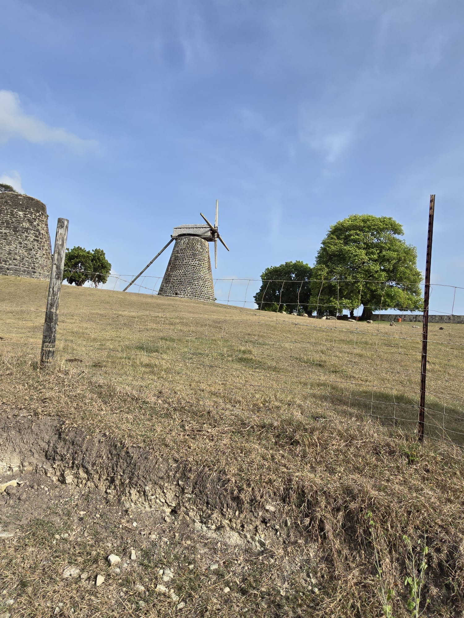 Gallery Image 13
